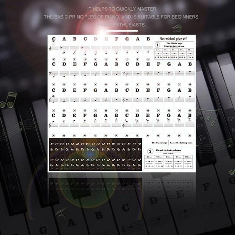 Pokinge Removable Piano Keyboard Stickers, Transparent White Keys Srcikers for 88/61/54/49Keys Multicolor Piano Notes Guide for Piano Beginners(Black&White) - Image 2
